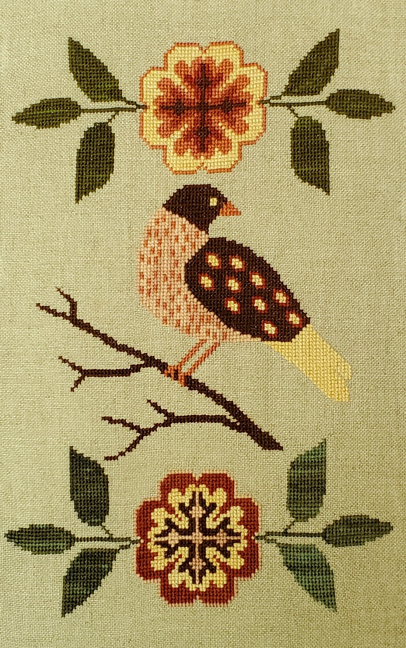 Lovely Dove