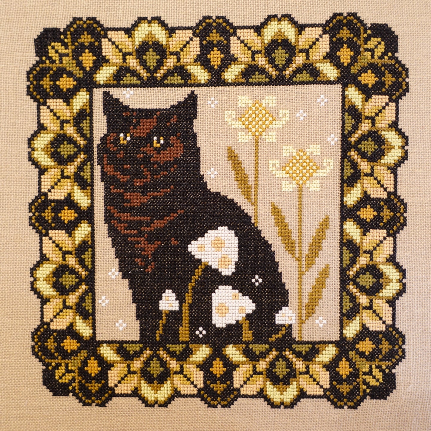 Chonky Forest Kitty